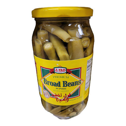 Picture of ZIYAD Broad Beans (Bakla) 454g