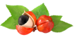 Picture of FiGA Fiori di Guarana 250ml